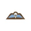 Picture of Para Wings Badge - Sky Blue on Khaki - Embroidered - Pair